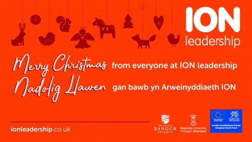 Swansea-Christmas-Advert.jpg
